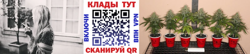 Наркошоп купить СОЛЬ Меф Амфетамин МАРИХУАНА Кокаин ГАШ Ковров