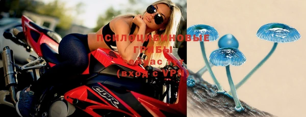 молекула духа Покров