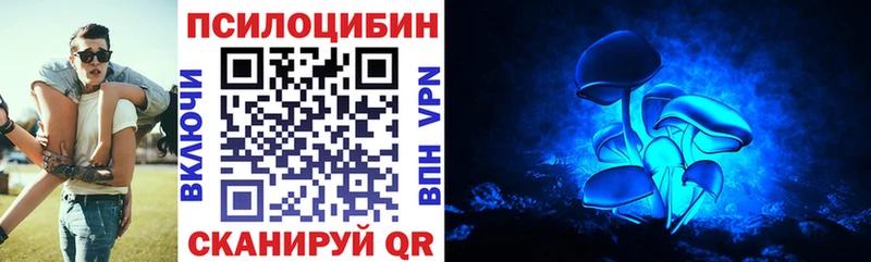 Купить закладки  Ковров  Галлюциногенные грибы Magic Shrooms 